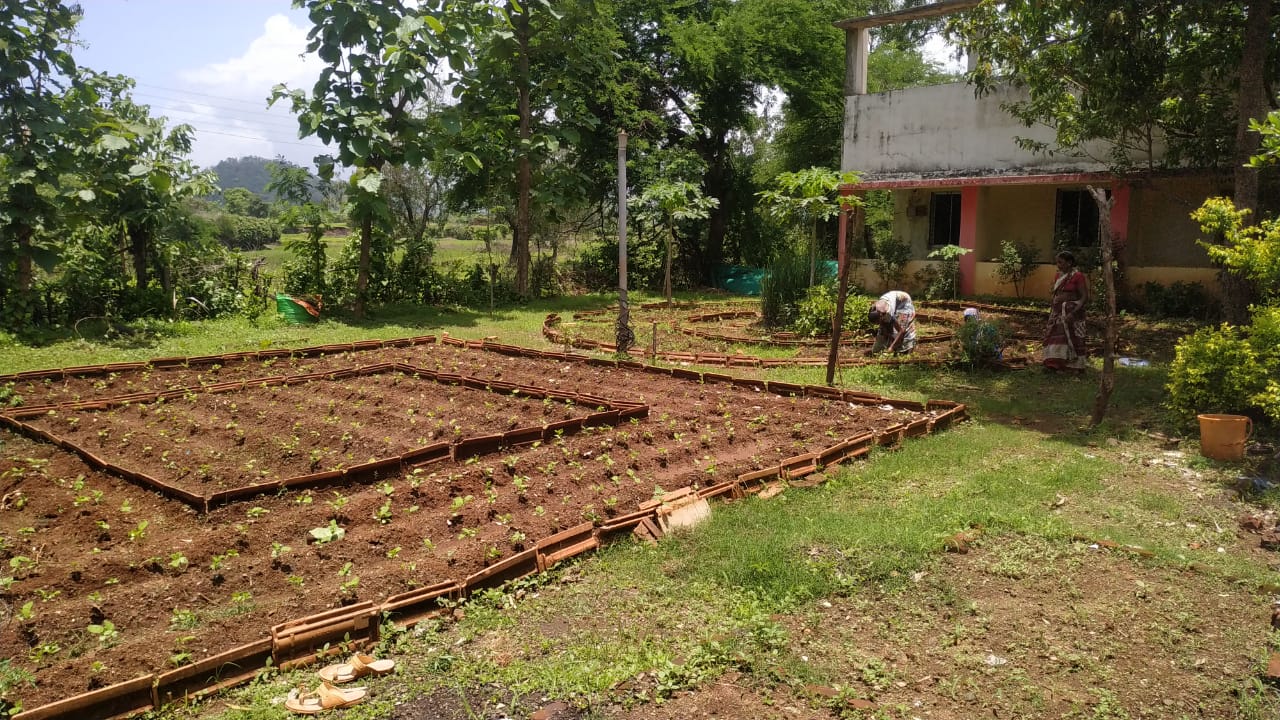 Kitchen garden